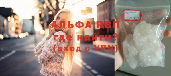 СК Каменск-Шахтинский