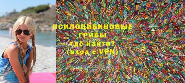 СК Каменск-Шахтинский