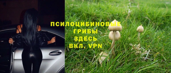 гашиш Каменногорск