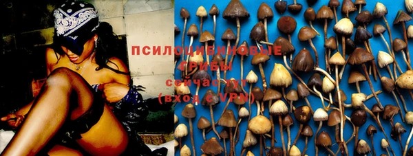 СК Каменск-Шахтинский