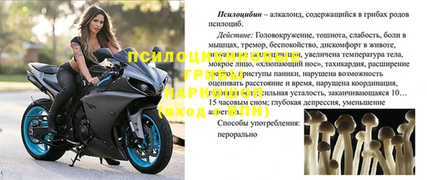 мяу мяу мука Каменка