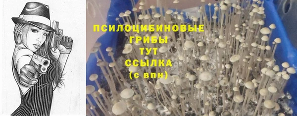 мяу мяу мука Каменка